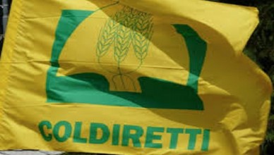 coldiretti...