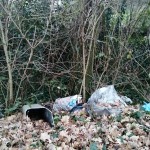 discarica via cocorbito 1