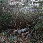 discarica via cocorbito 4