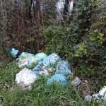 discarica via cocorbito 5