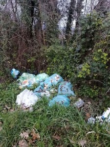 discarica via cocorbito 5