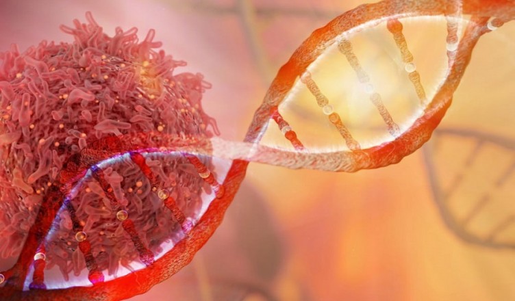 filo dna cancro