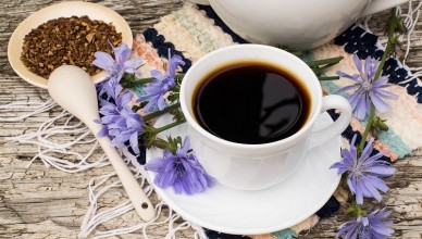 caffè cicoria
