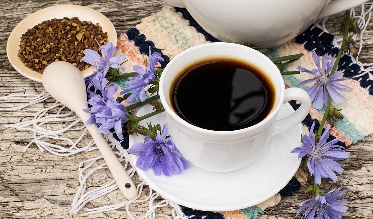 caffè cicoria