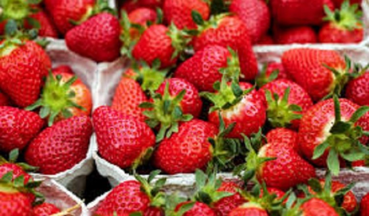 fragole...