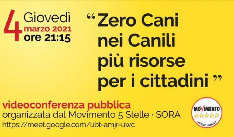 m5s randagismo sora