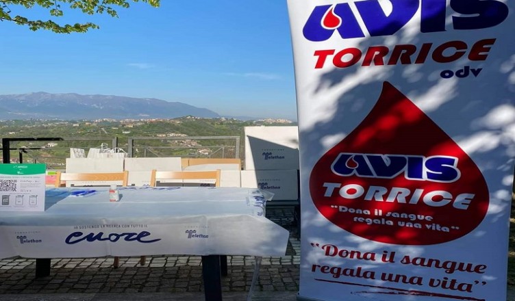 AVIS TORRICE......