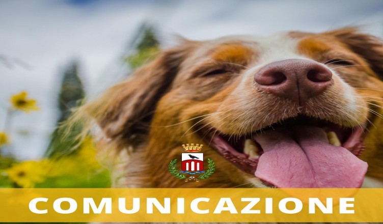 AZZERATO RANDAGISMO PONTECORVO