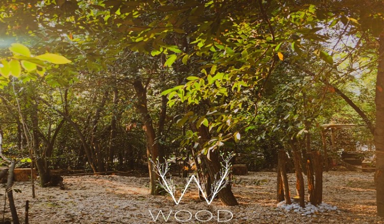 Wood Natural Bar