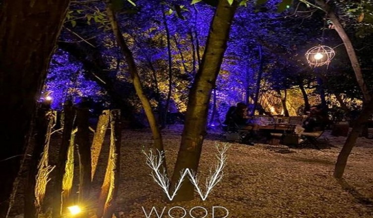 Wood2