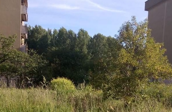 isola verde pubblico
