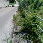 VIA COCORBITO 3