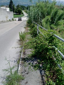 VIA COCORBITO 3