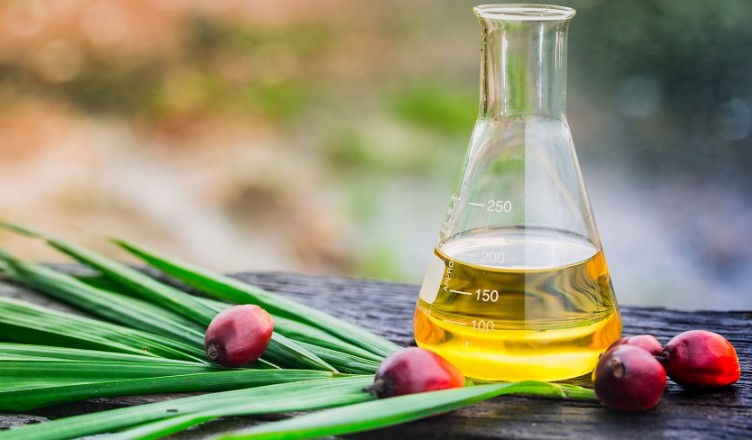 Palm,Oil,In,Glass,Bottles,Palm,Oil,Can,Also,Be