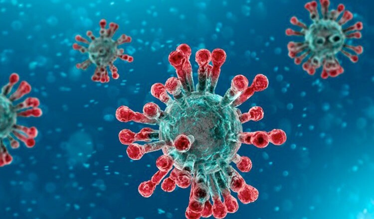 coronavirus covid 19...