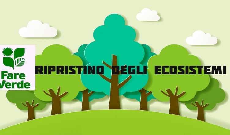 fare verde 23
