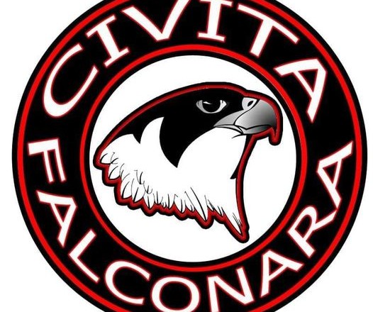 logo civita falconara