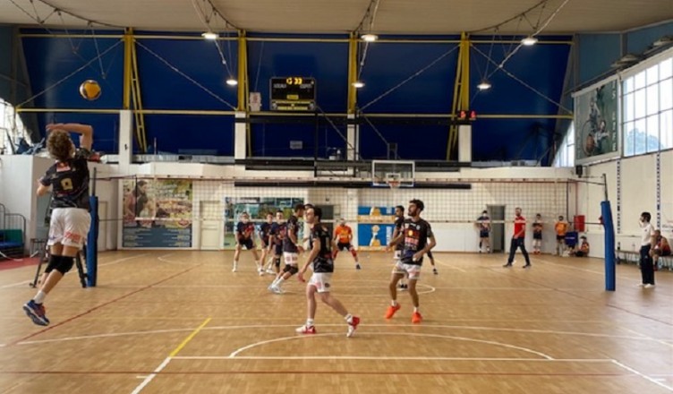 volley sora 2