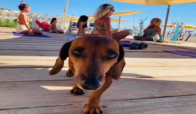 yoga BAUBEACH