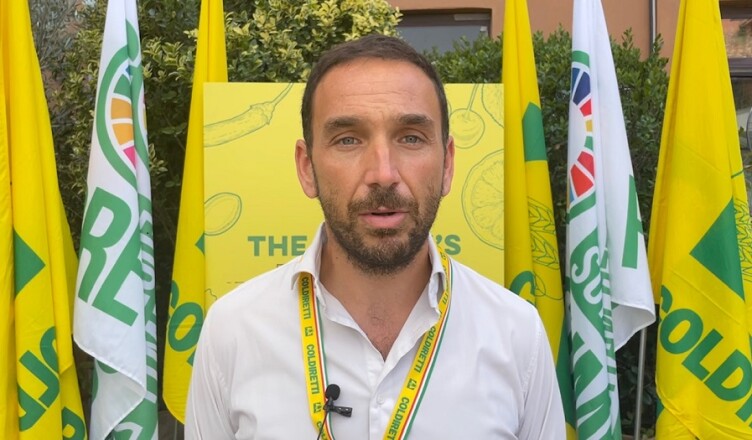 David Granieri (4)