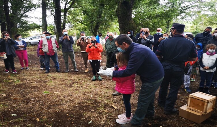 Bosco Rapaci liberati 3