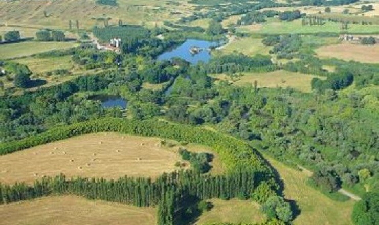 Selva di Paliano