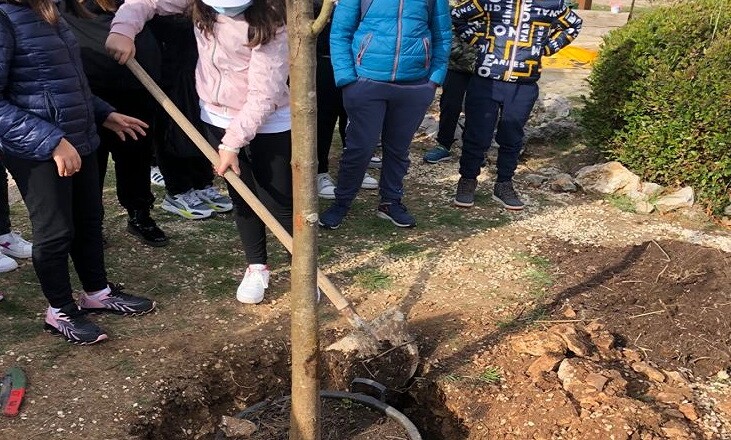 Pontecorvo è tornata la Festa degli Alberi.