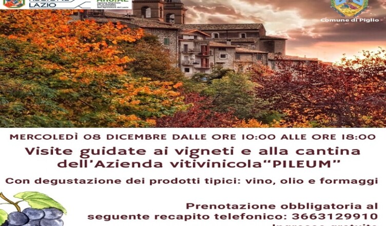 Evento vino PIGLIO