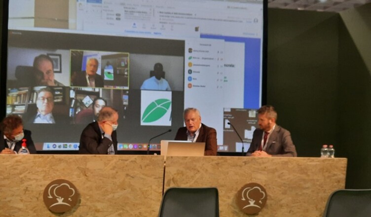 Festival Dottrina Sociale