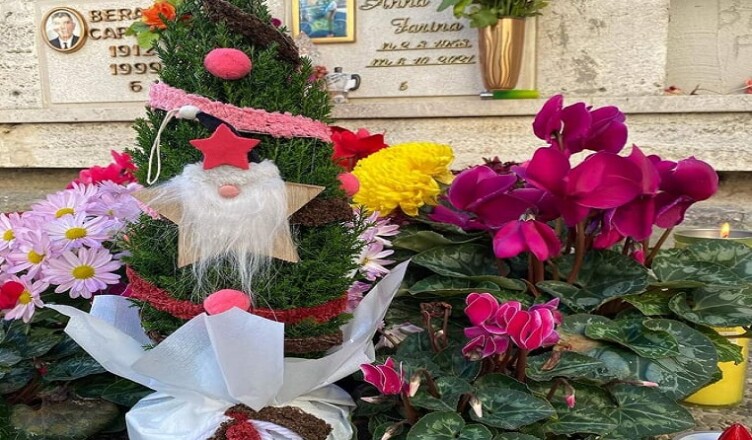 albero cimitero defunto