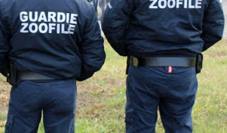 guardie zoofile-2 (1)
