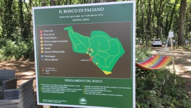 BOSCO PALIANO
