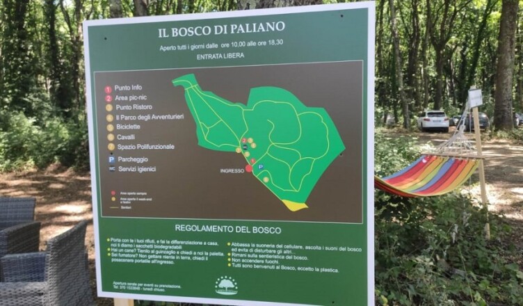 BOSCO PALIANO