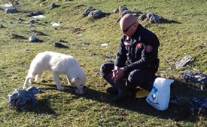 CANE ABBANDONATO SALVATO CARABINIERI FORESTALI 1