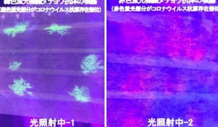 mascherina fluorescente