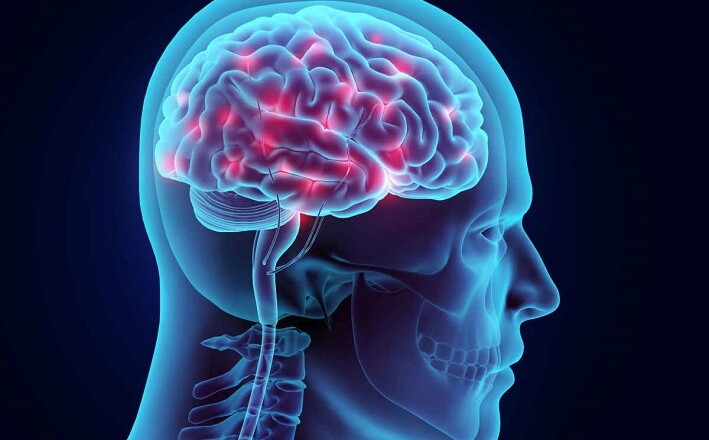 3D illustration brain nervous system active, medical concept.
