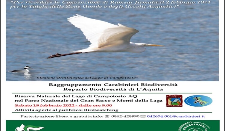lago campotosto....