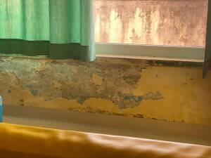 IMG-20220322-WA0019