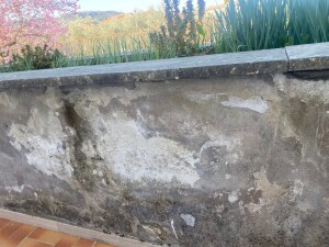 IMG-20220322-WA0026
