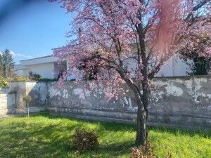 thumbnail_IMG-20220322-WA0030