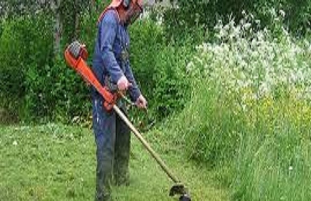IMG_20220517_094404