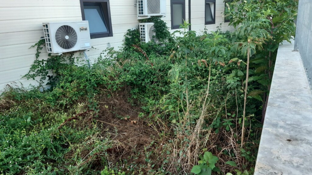 IMG-20220731-WA0006