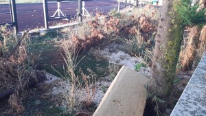 IMG-20220731-WA0013
