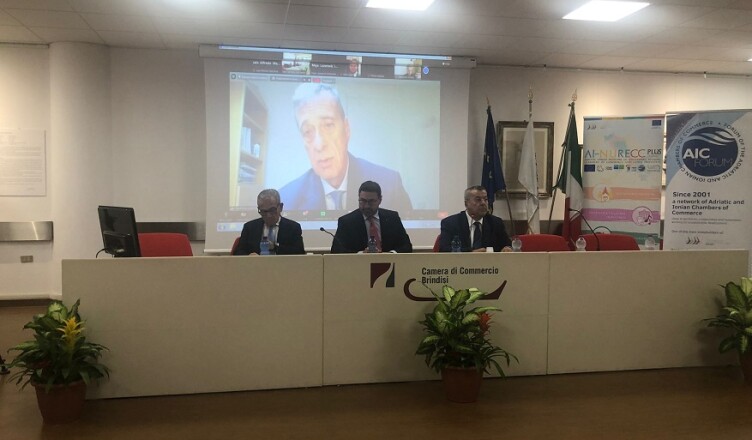 Acampora_videocollegamento