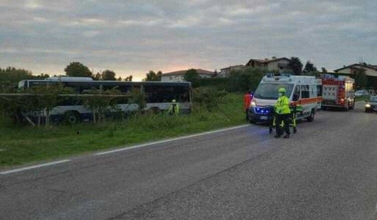 bus nei vigneti