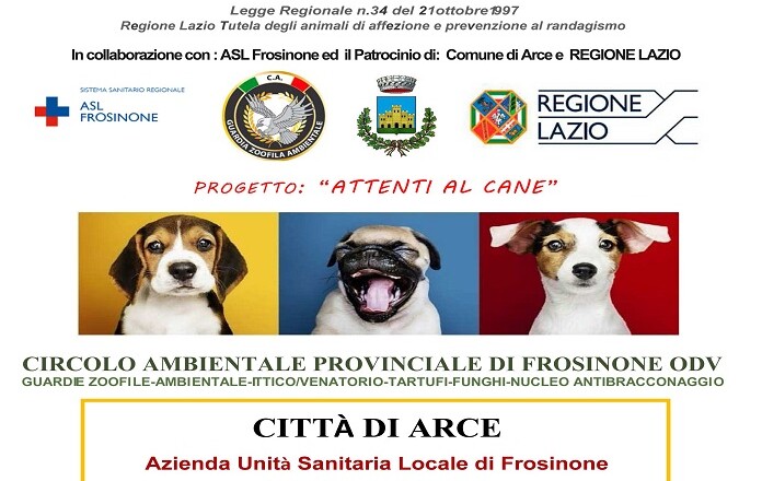 microcippatura arce