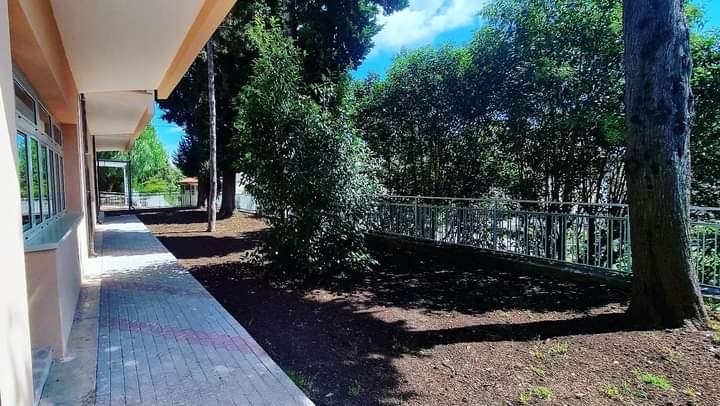 scuola rialto castellone