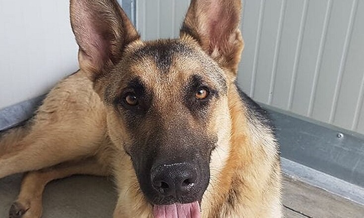 zeus