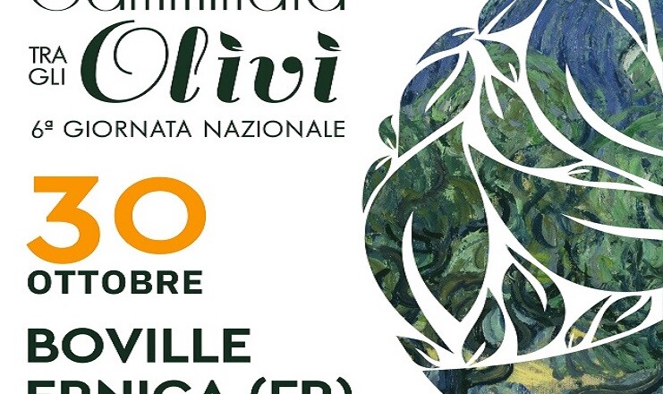 Boville MANIFESTO Camminata fra gli olivi 30 ottobre...