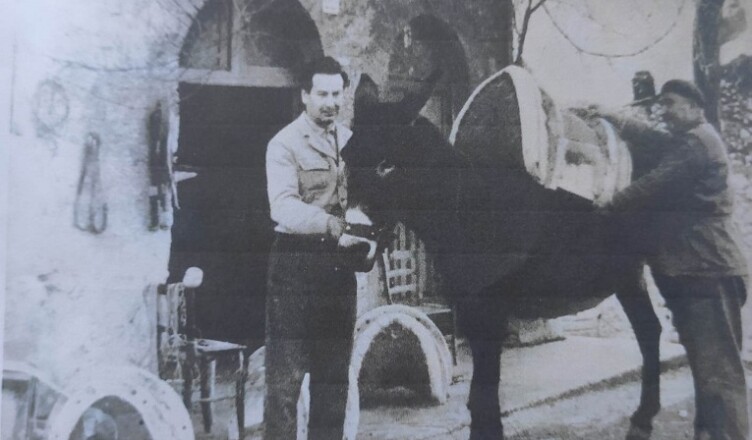 adriano noro basti